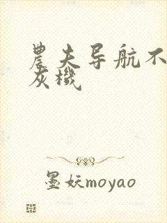 农夫导航不要打灰机