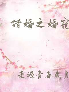 错婚之婚宠一世