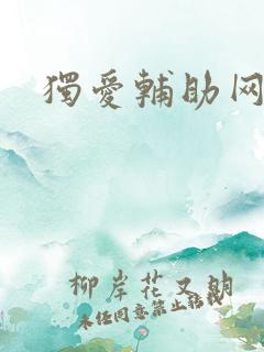独爱辅助网