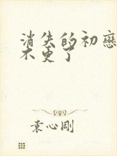 消失的初恋为啥不更了