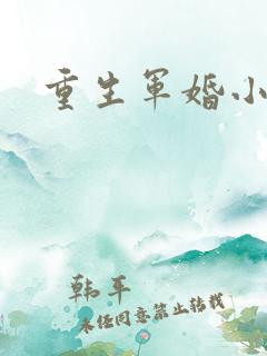 重生军婚小媳妇