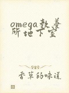 omega教养所地下室