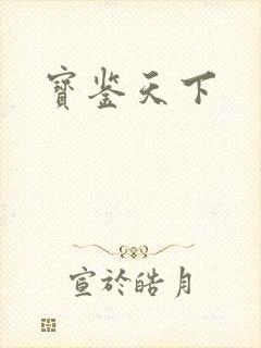 宝鉴天下