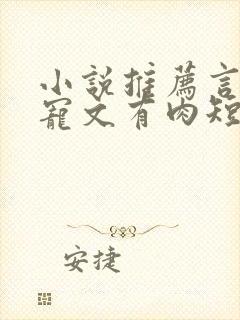 小说推荐言情甜宠文有肉短篇完结