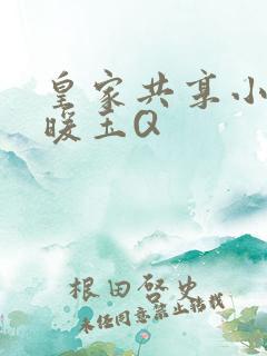 皇家共享小公主暖玉Q