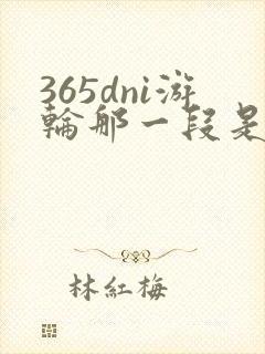 365dni游轮那一段是真的吗