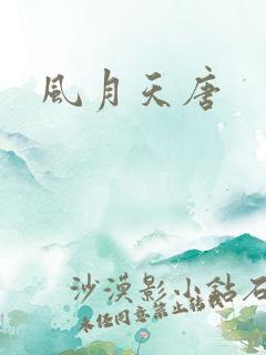 风月天唐