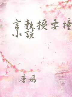 言教授要撞坏了小说