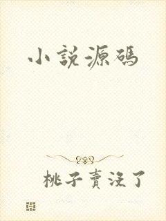 小说源码
