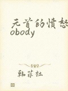 元首的愤怒之nobody