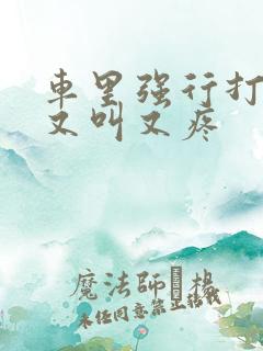 车里强行打扑克又叫又疼