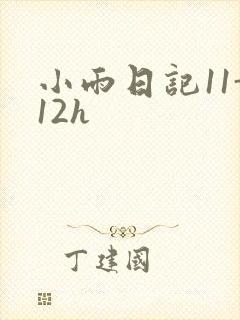 小雨日记11-12h