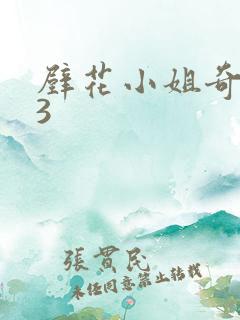 壁花小姐奇遇记3