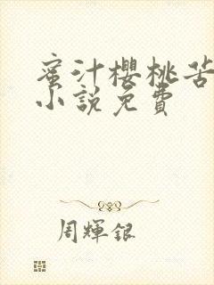 蜜汁樱桃苦咖啡小说免费