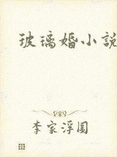 玻璃婚小说