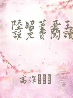 陆昭菱晋王的小说免费阅读