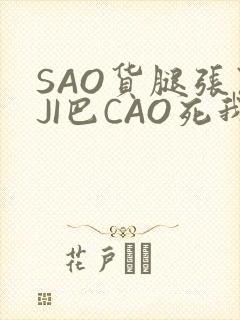 SAO货腿张开JI巴CAO死我