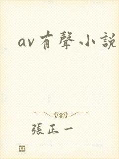 av有声小说