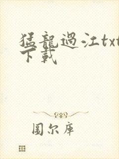 猛龙过江txt下载