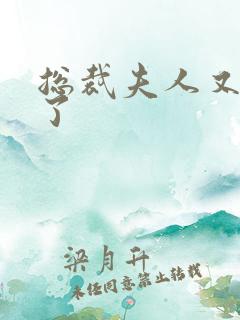 总裁夫人又征婚了