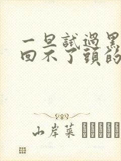 一旦试过黑人就回不了头的英文