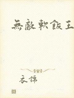 无敌软饭王