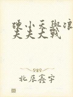 硬小天与浪小辉夫夫大战