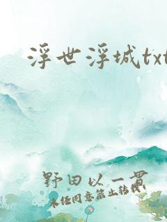 浮世浮城txt