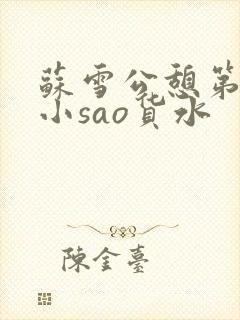苏雪公憩第一章小sao货水