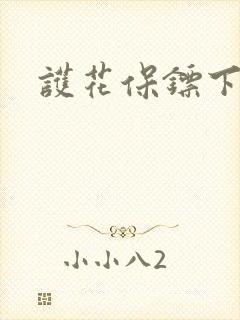 护花保镖下载