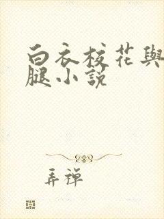 白衣校花与大长腿小说