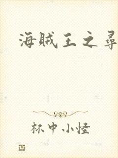 海贼王之寻亲记