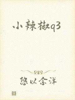 小辣椒q3