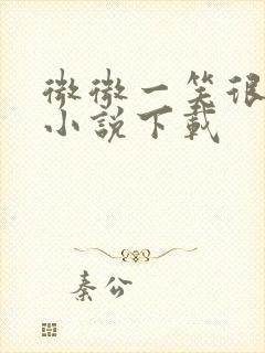 微微一笑很倾城小说下载