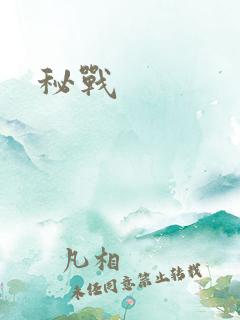 秘战