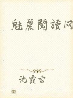 魅丽阅读网