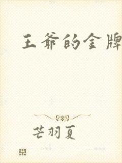 王爷的金牌暗卫