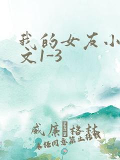我的女友小洁全文1-3