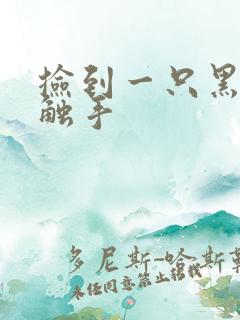 捡到一只黑心小触手