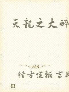 天龙之大醉侠