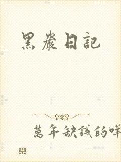 黑岩日记