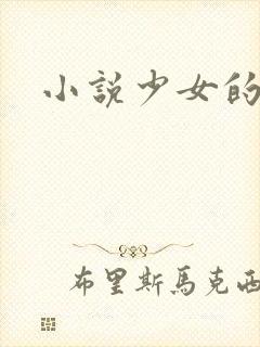 小说少女的心