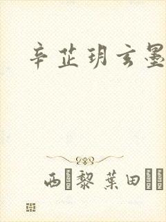 辛芷玥玄墨小说