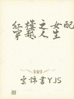 红楼之女配角的穿越人生