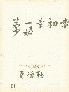 第一章初尝云雨少妇