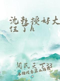 沈教授好大含不住了h