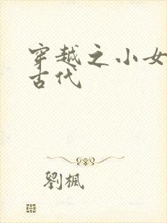 穿越之小女子闹古代