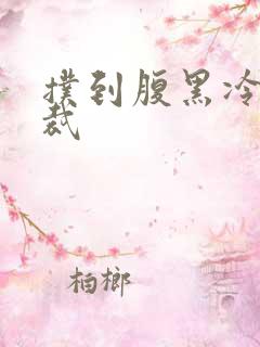 扑到腹黑冷面总裁