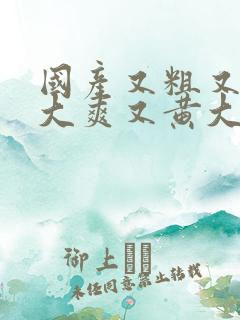 国产又粗又猛又大爽又黄大爷