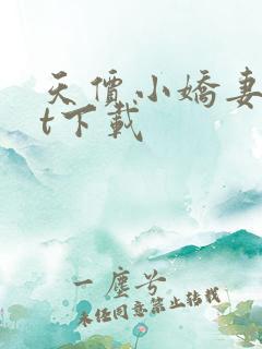 天价小娇妻txt下载